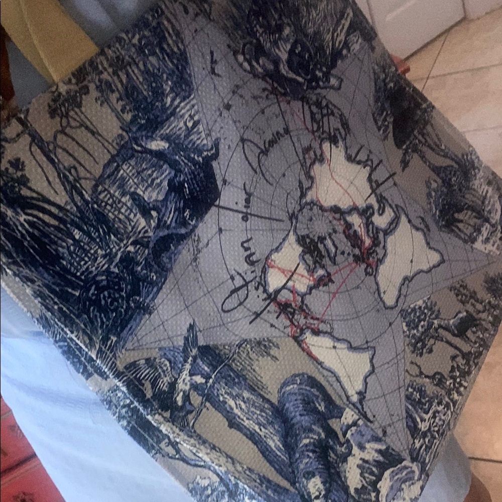 Dior Blue and Tan Tote Bag around the world - Picture 13 of 13